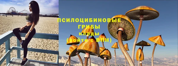 эйфоретик Абаза