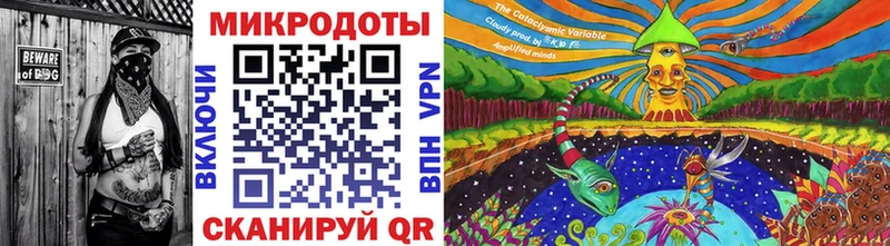 Псилоцибиновые грибы Cubensis  Шумерля 